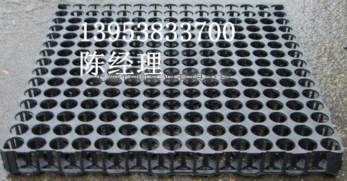 土工材料领域的新标杆 排水板制造厂家的技术与应用解析